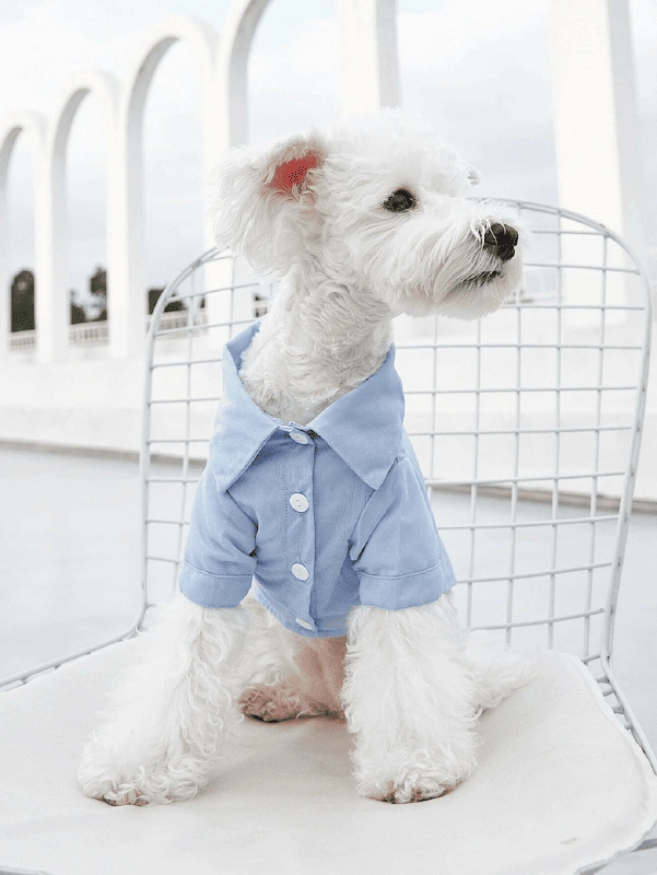 Dog Shirt Sewing Pattern
