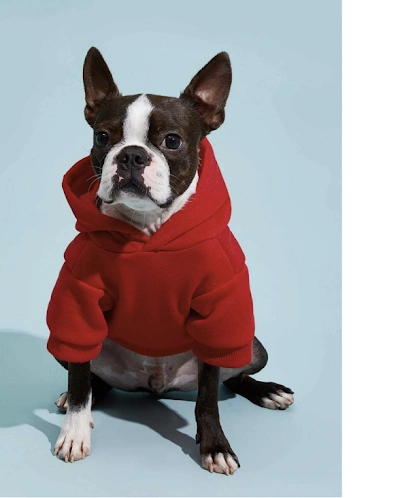 Dog Hoodie Sewing Pattern