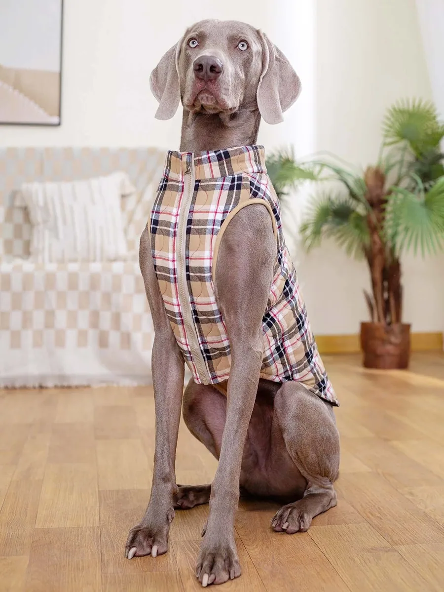 Dog Coat PDF sewing pattern: lined plaid dog coat, view 3 of 3