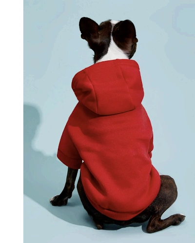 Dog Hoodie PDF sewing pattern: hooded dog sweatshirt, back view