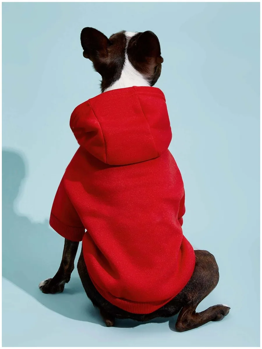 Dog Hoodie PDF sewing pattern: hooded dog sweatshirt, view 3 of 3