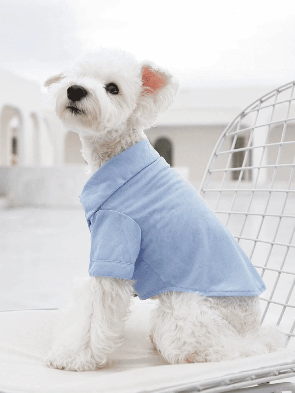 Dog Shirt PDF sewing pattern: buttoned dog shirt, back view