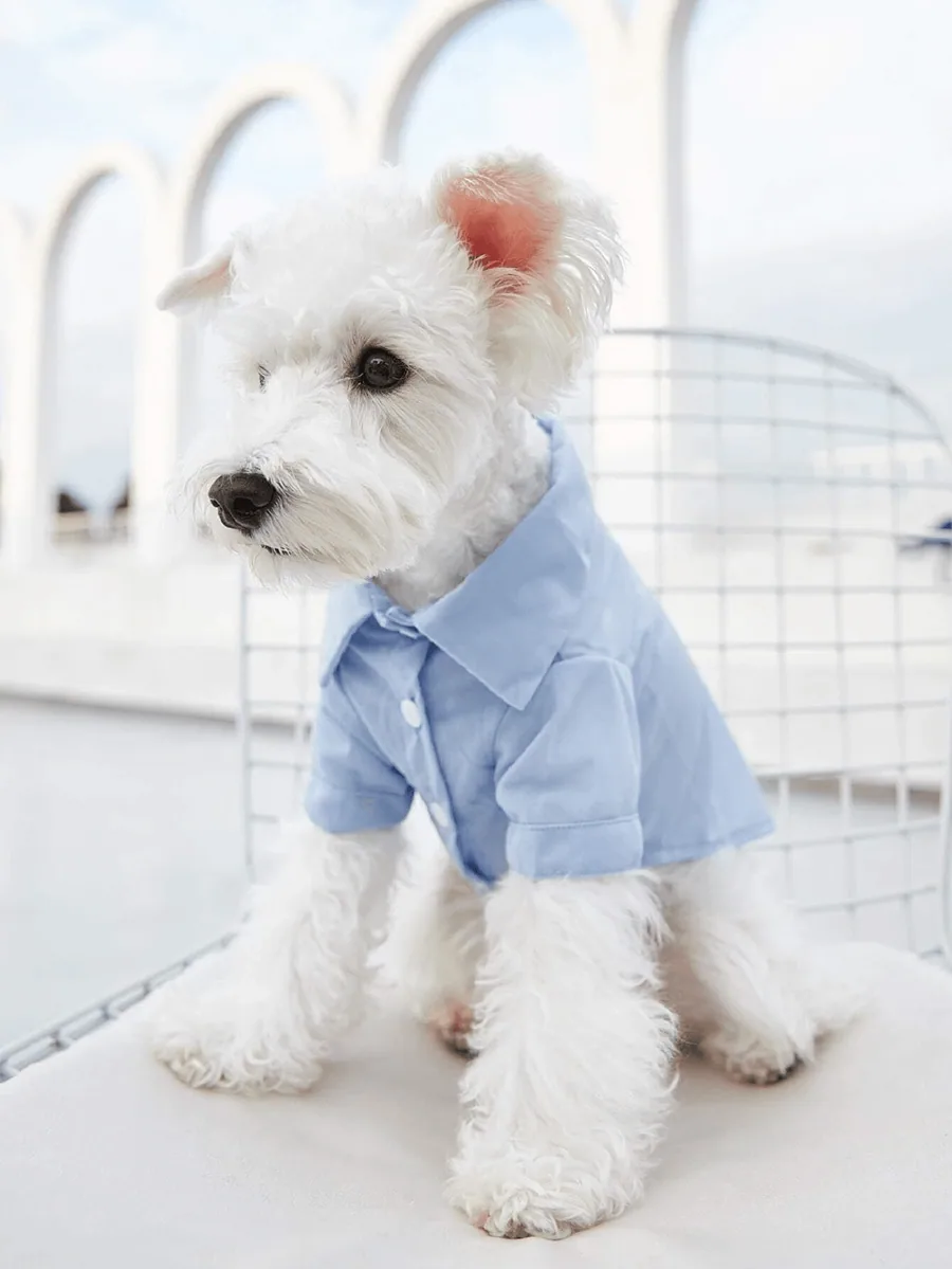 Dog Shirt PDF sewing pattern: buttoned dog shirt, view 3 of 3
