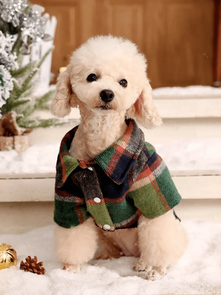 Dog Shirt PDF sewing pattern: plaid dog shirt, view 3 of 3